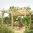 Verona Wooden Pergola | Garden Sun Canopy